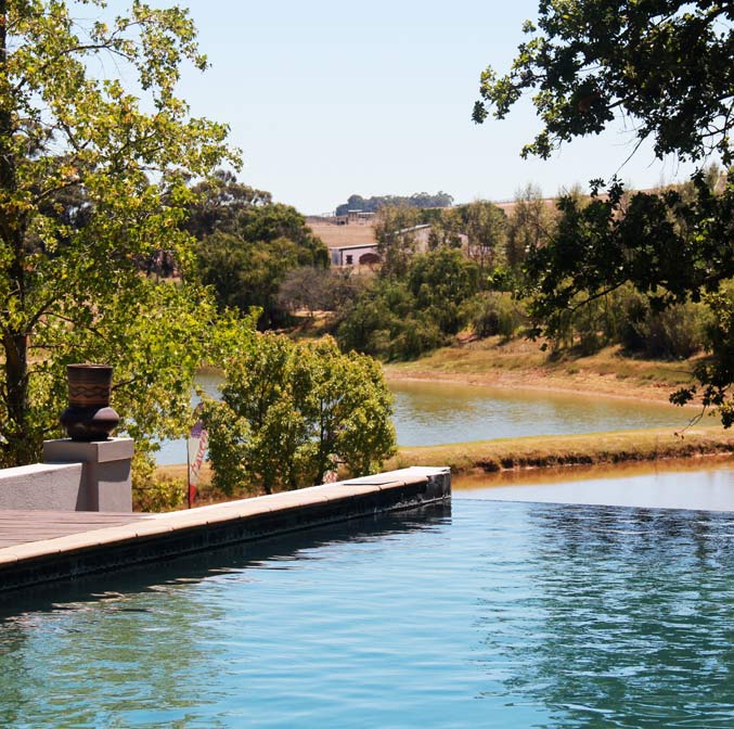 La route des vins du Cap