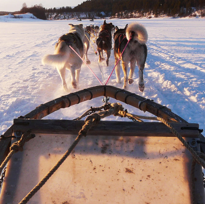 S’aventurer au fin fond de la Laponie Finlandaise
