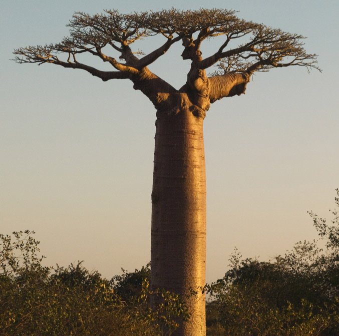 Séjour au Cap-Vert : petit tour des sites à visiter