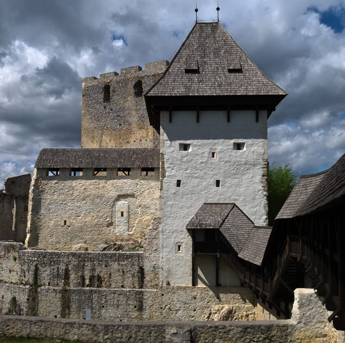 Le vieux château de Celje