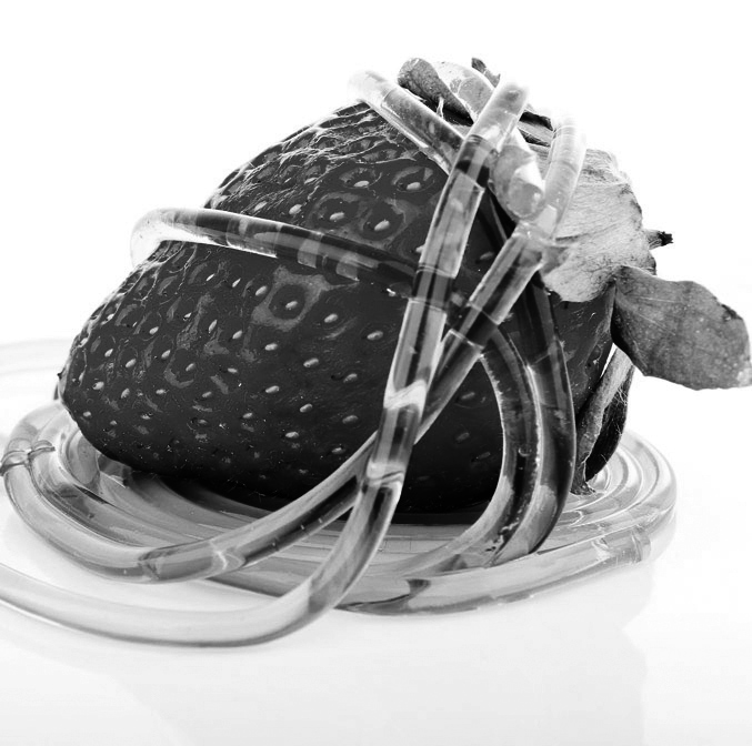 La cuisine moléculaire : génie ou sorcellerie ?