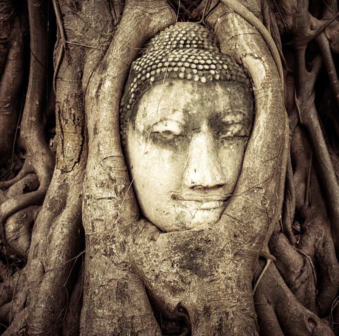 Angkor, plus de bien-être
