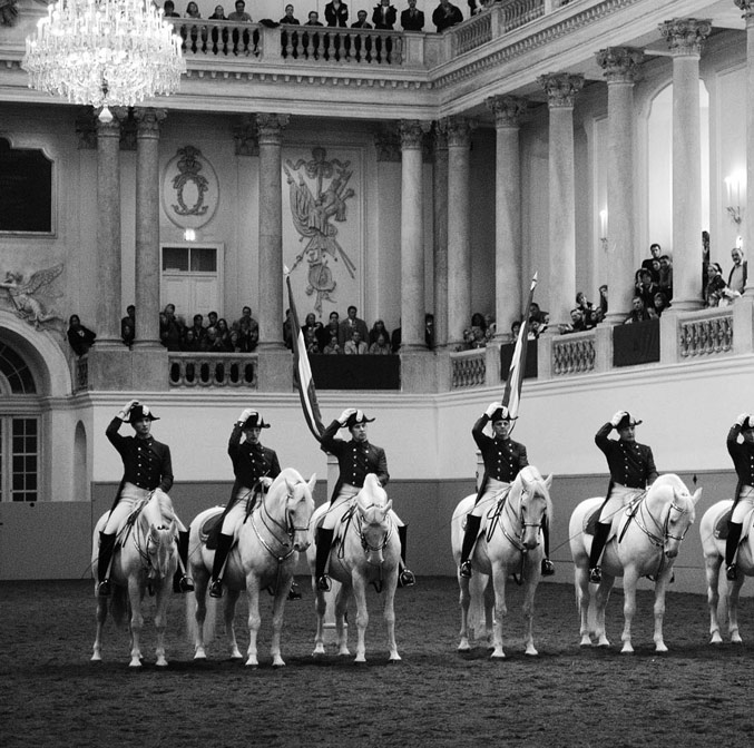 Ecole espagnole d'équitation de Vienne