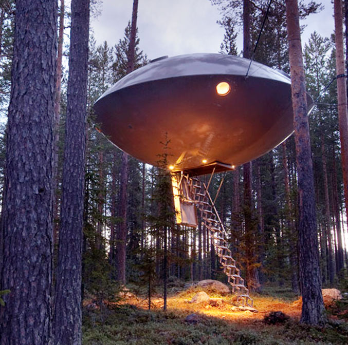 Cabanes perchées dans la forêt boréale