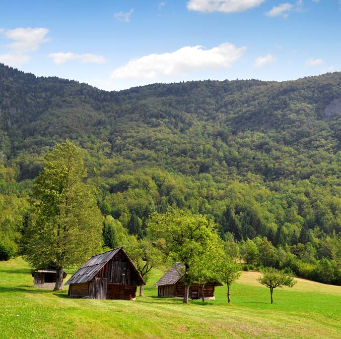Jazz à Cerkno : un festival exceptionnel