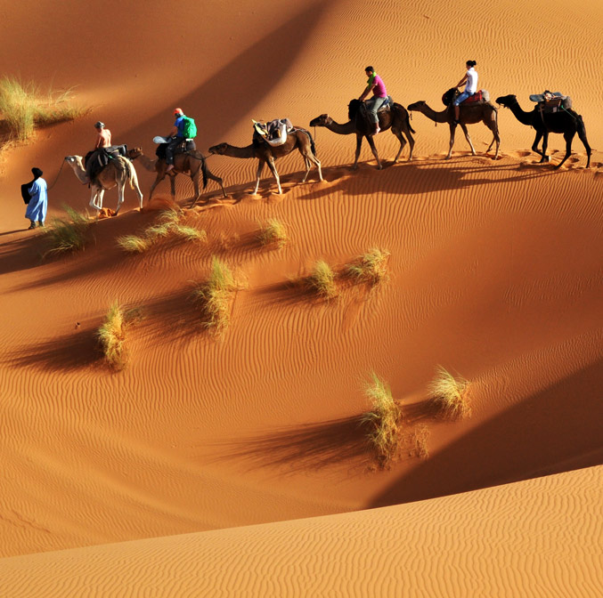   Le grand sud Tunisien sur un air de printemps