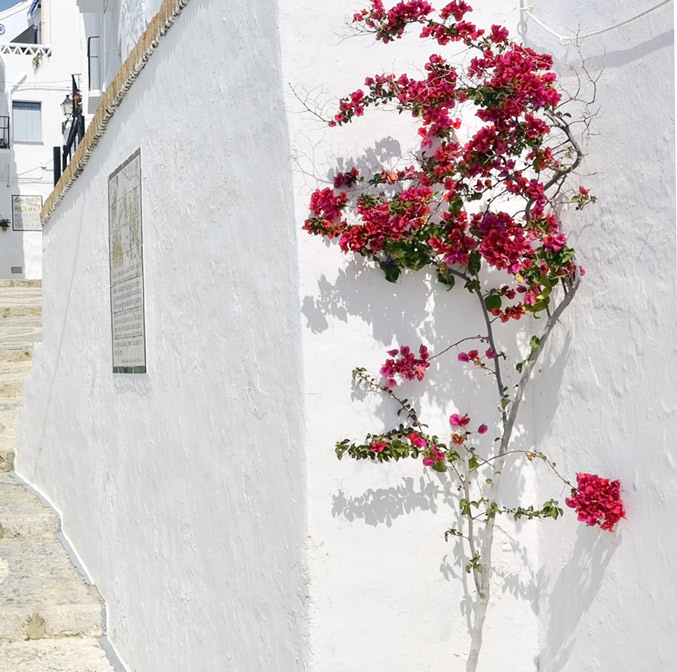 La route des villages blancs d’Andalousie