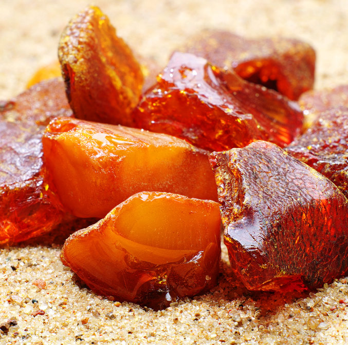 L’ambre jaune de la Baltique