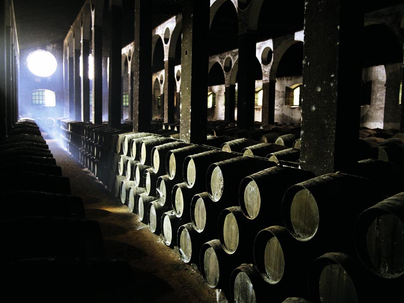 Le secret des Bodegas