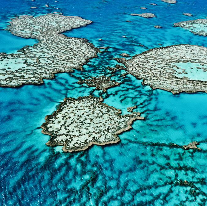 Barrière de corail, Australie