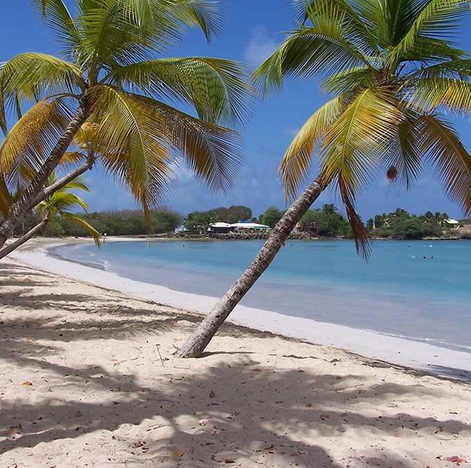 Où se loger pour ses prochaines vacances en Martinique ?