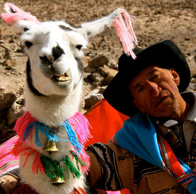 La tradition du cuy sur la table péruvienne