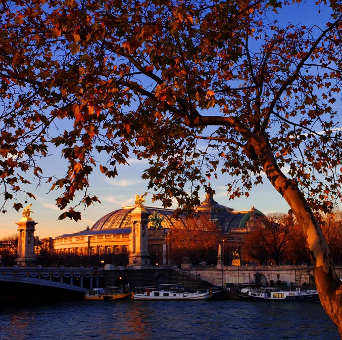 Les péniches avec la vue sur le Grand Palais