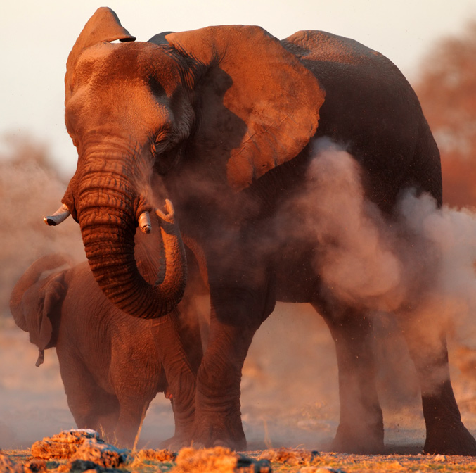 Safari bien-être en Tanzanie