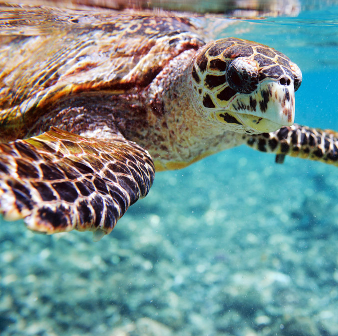 Iles malaises : le paradis bien-être