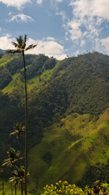 Colombie, Itinéraire / nature
